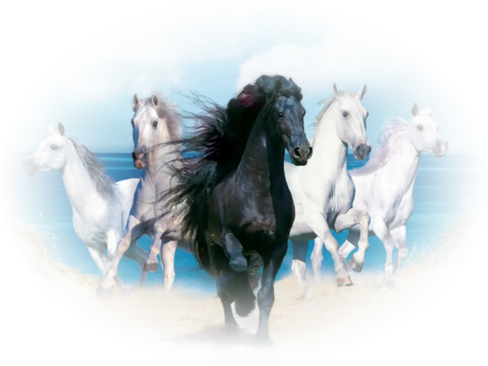 Group of Running Horses