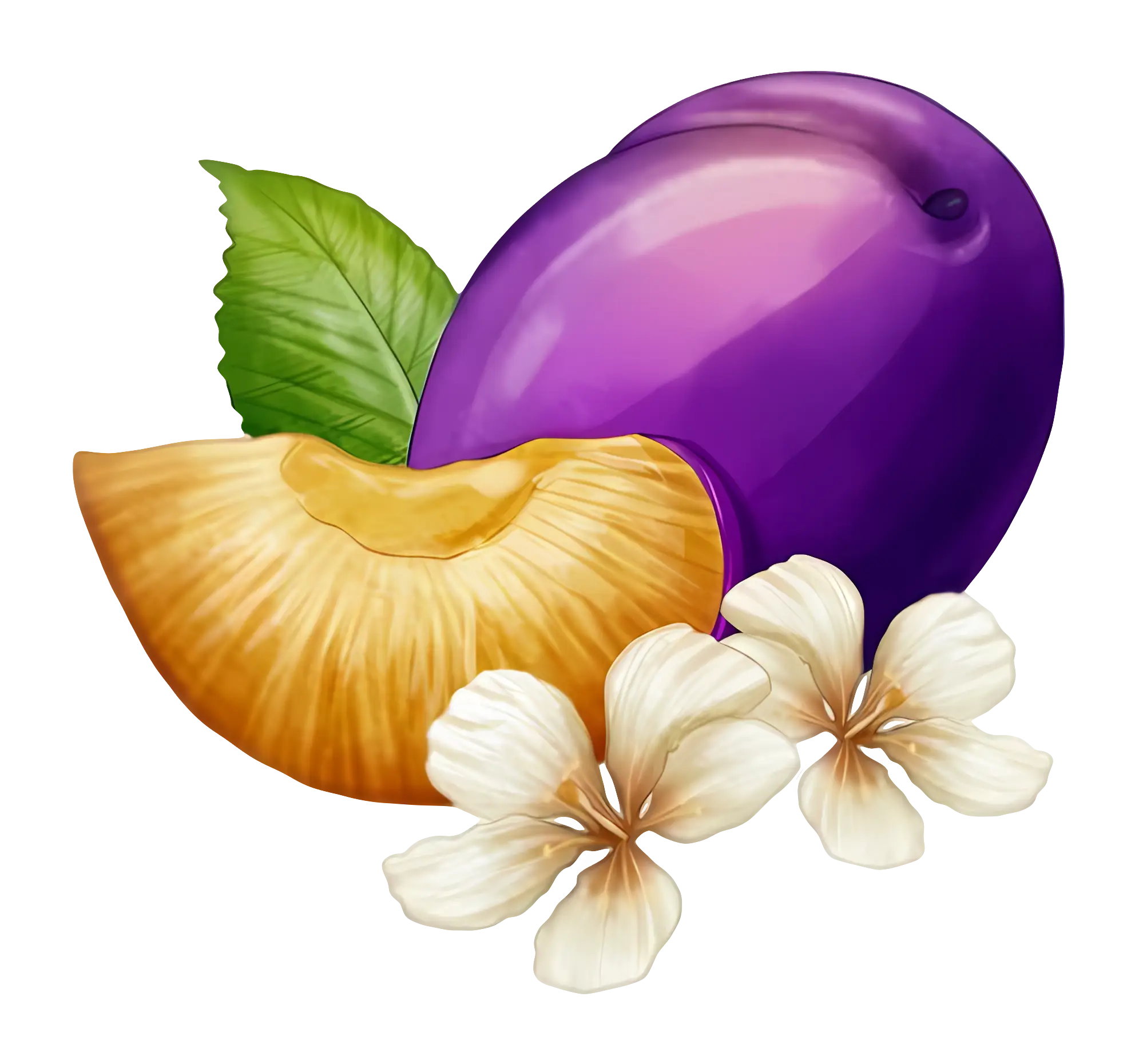 Plum and Plum Slice with Flowers