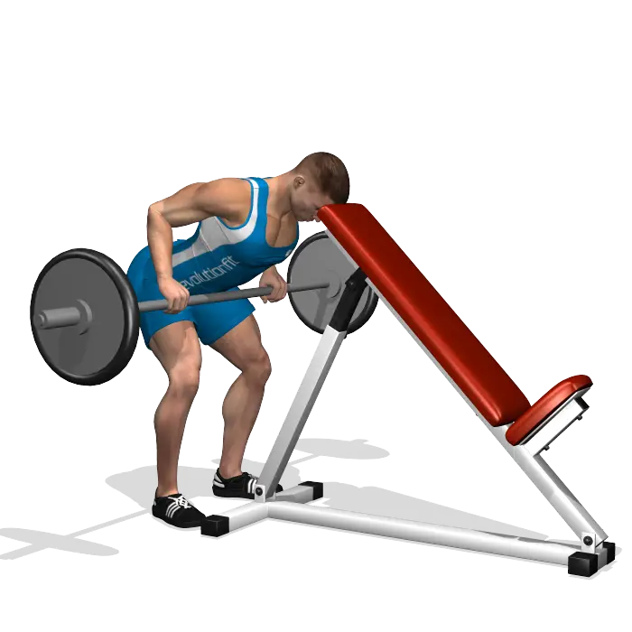 Barbell Workout on Adjustable Weightlifting Bench