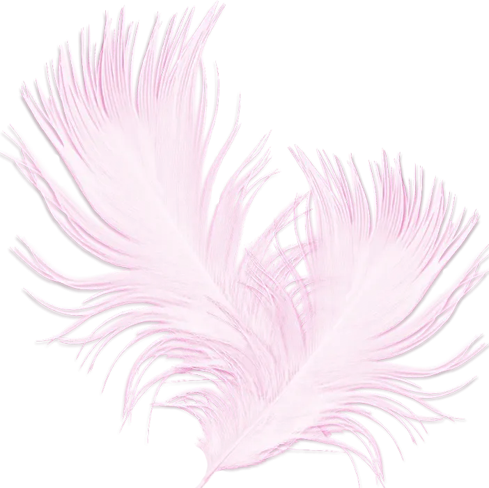 Pink Soft Feather Design