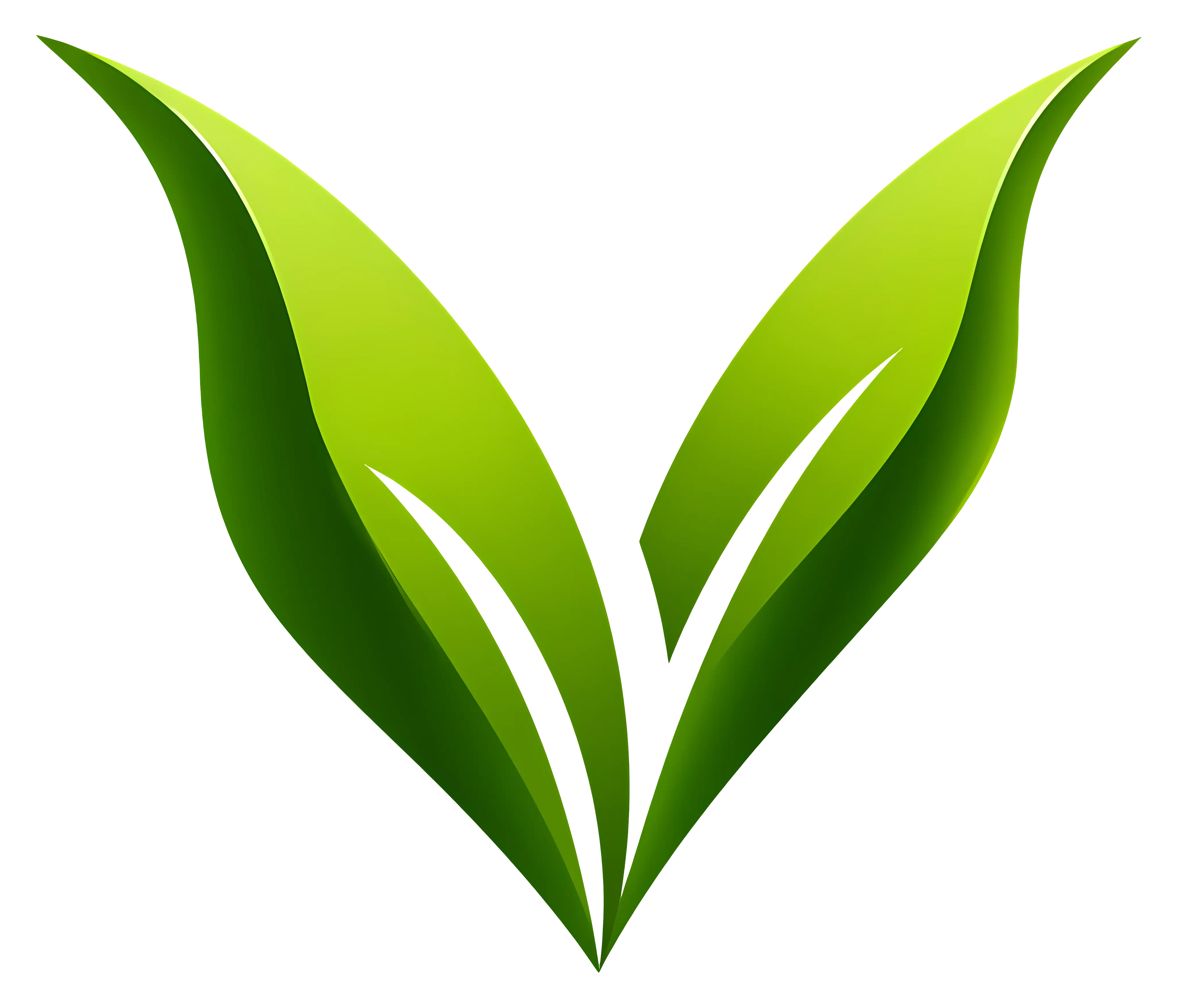 Green Leaves Eco Symbol