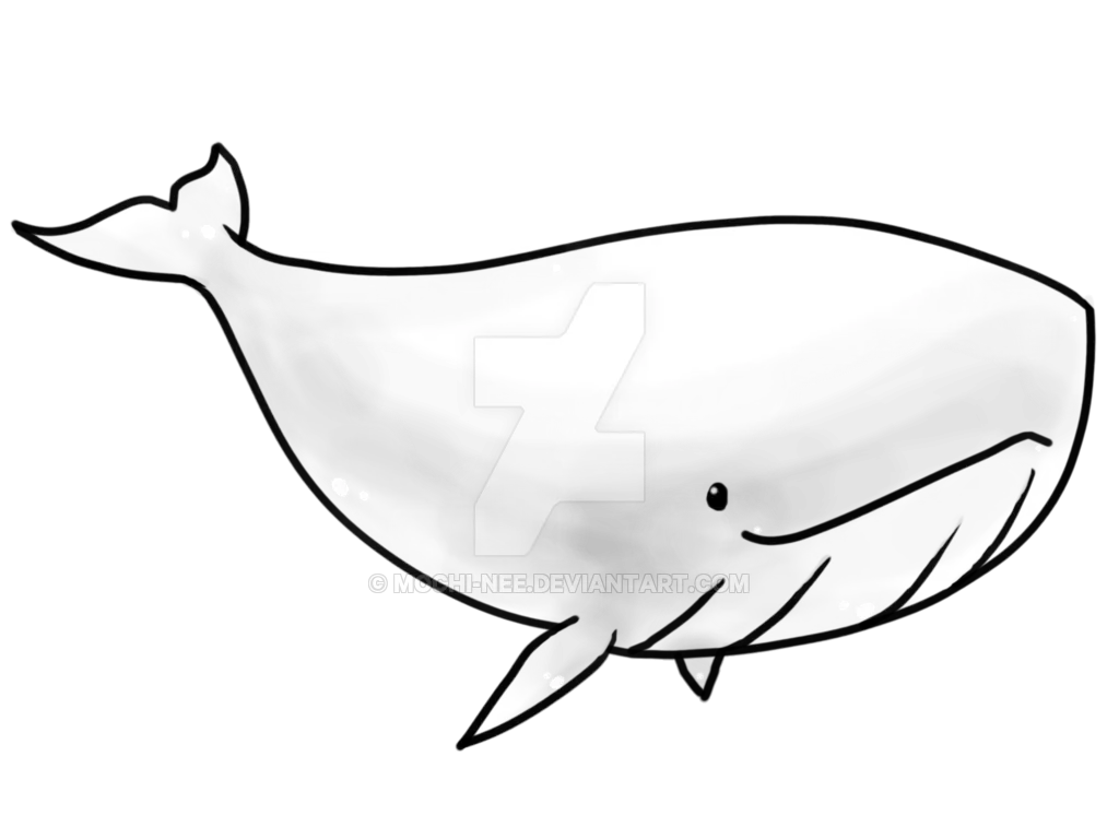 Simple Whale Drawing