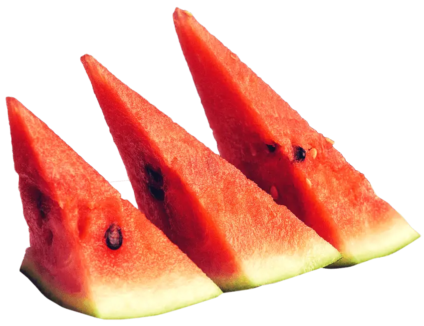 Fresh Watermelon Slices