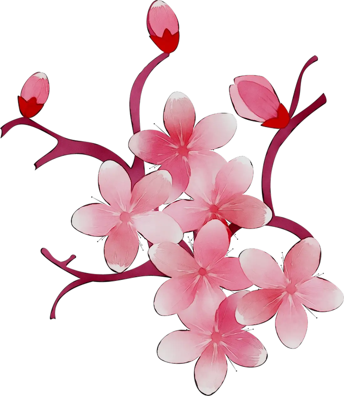 Pink Flower Branch with Blooming Buds