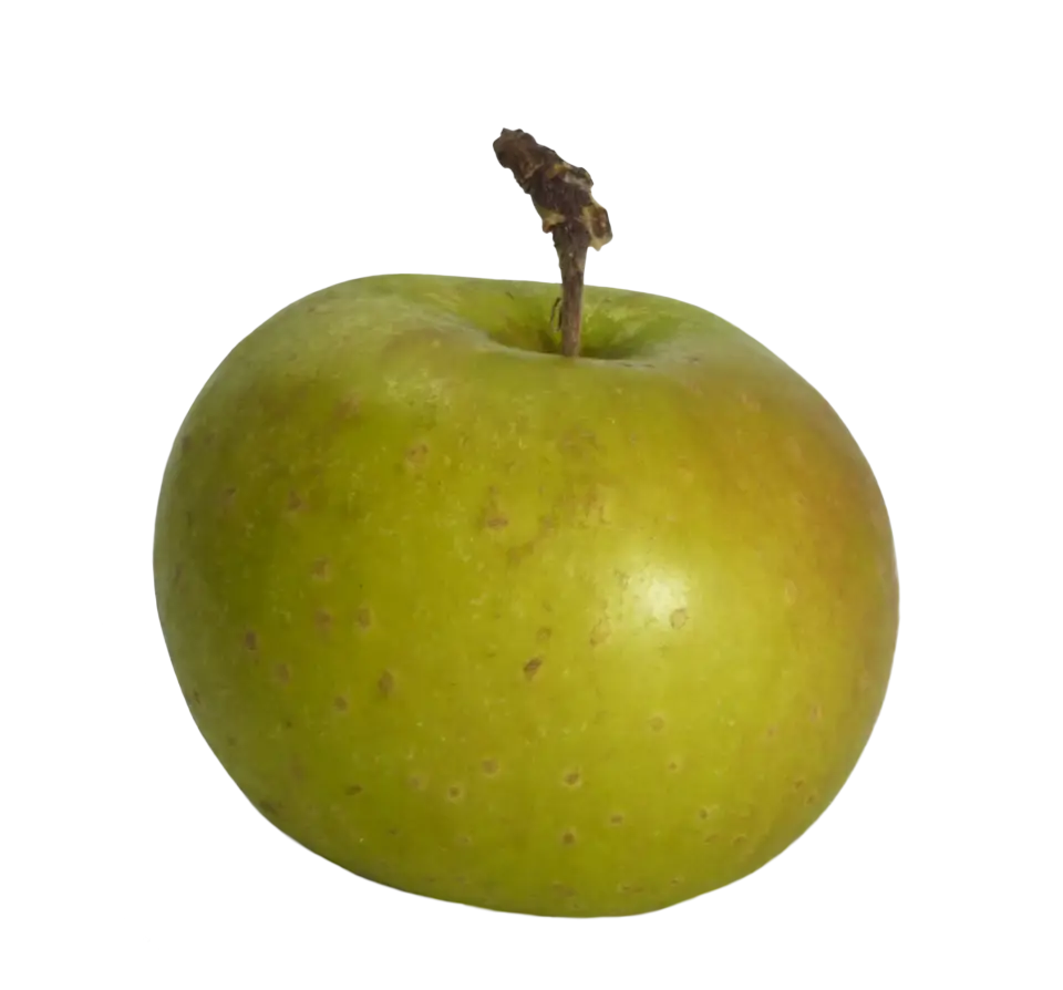 Single Green Apple on White Background