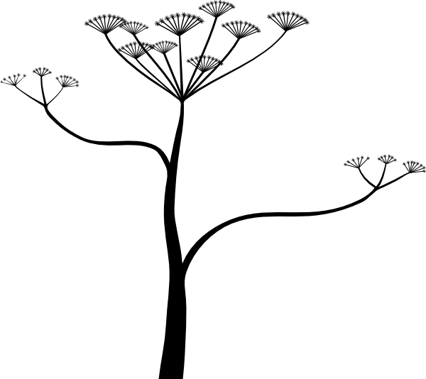 Black Silhouette Tree
