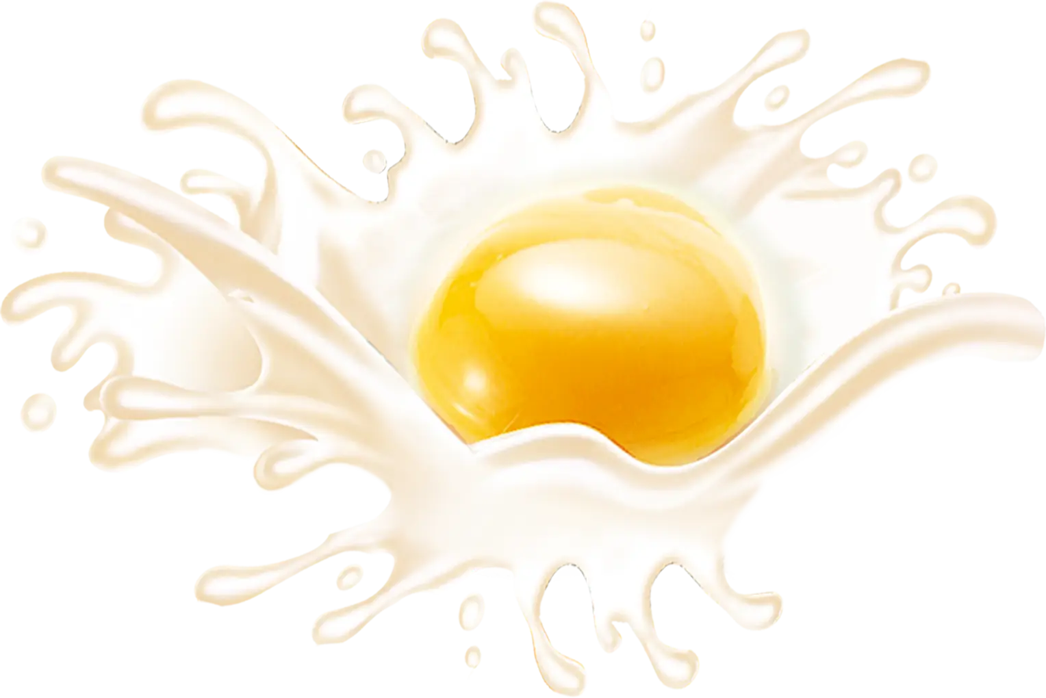 Egg Yolk Splashing in Milk