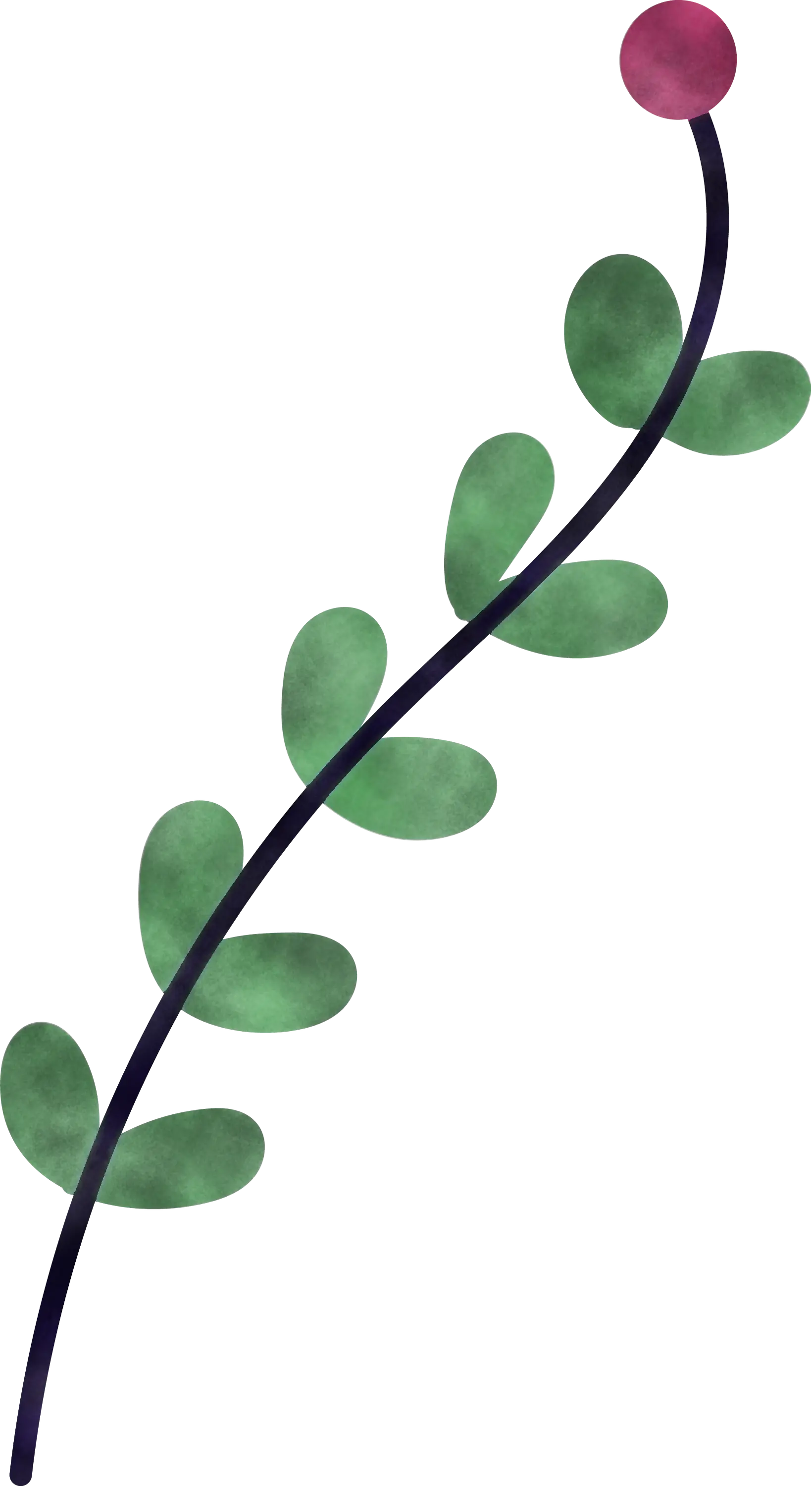Green Leafy Branch Illustration