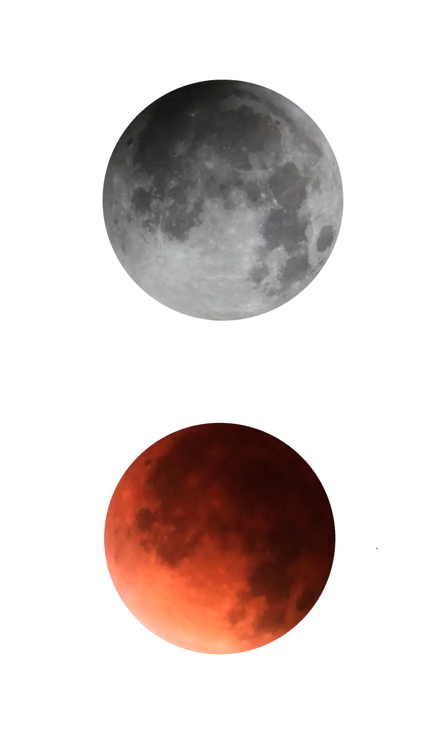 Lunar Phases: Full Moon and Blood Moon