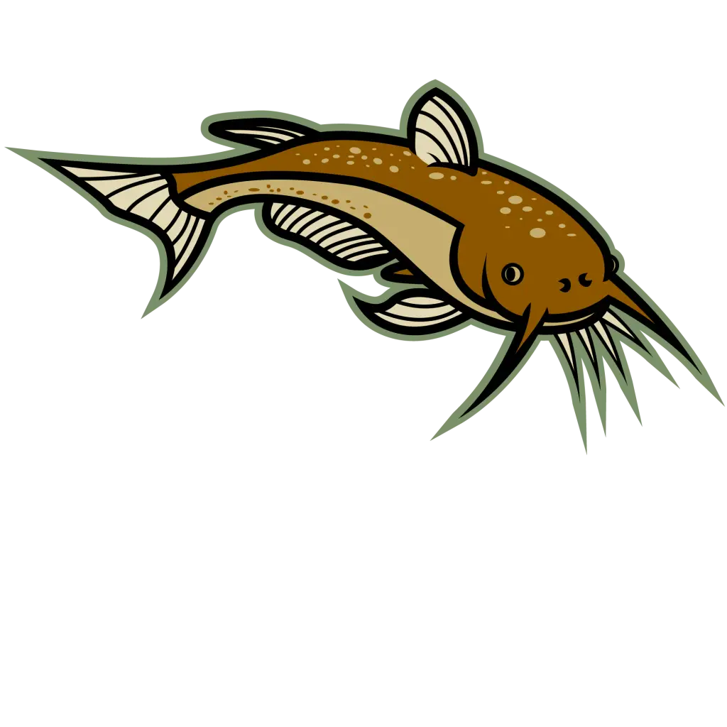 Cartoon Catfish Illustration