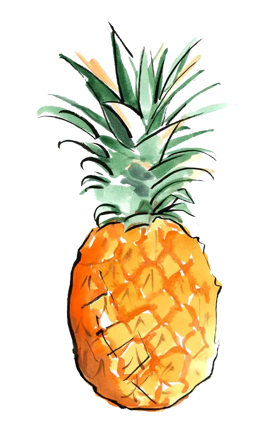Watercolor Illustration of Pineapple
