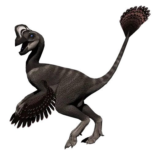 Feathered Dinosaur Illustration of a Velociraptor