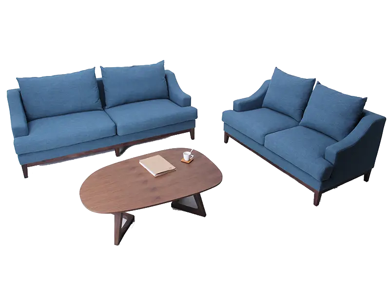 Blue Sofas with Coffee Table