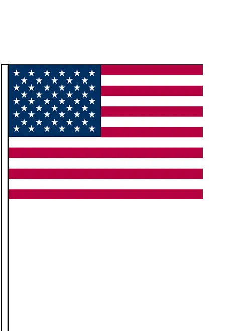 United States National Flag