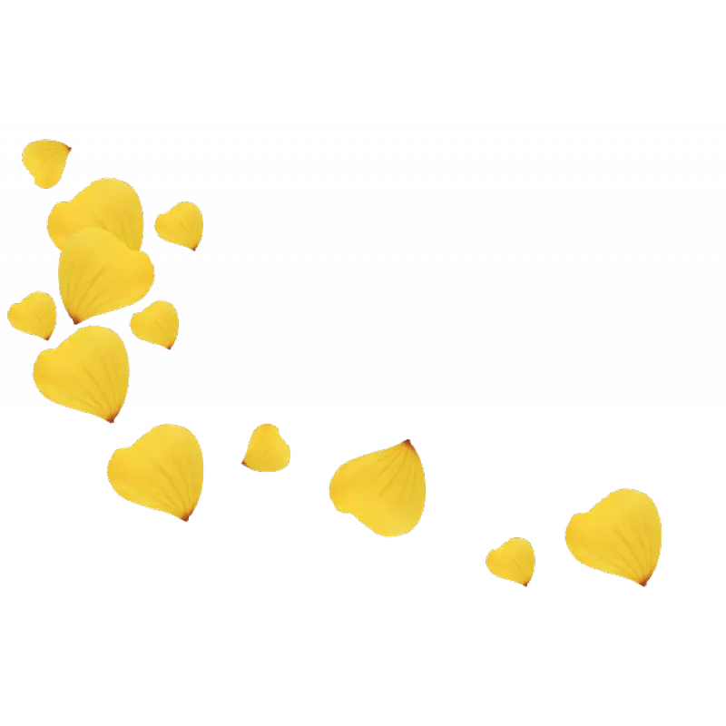 Yellow Heart-Shaped Petals