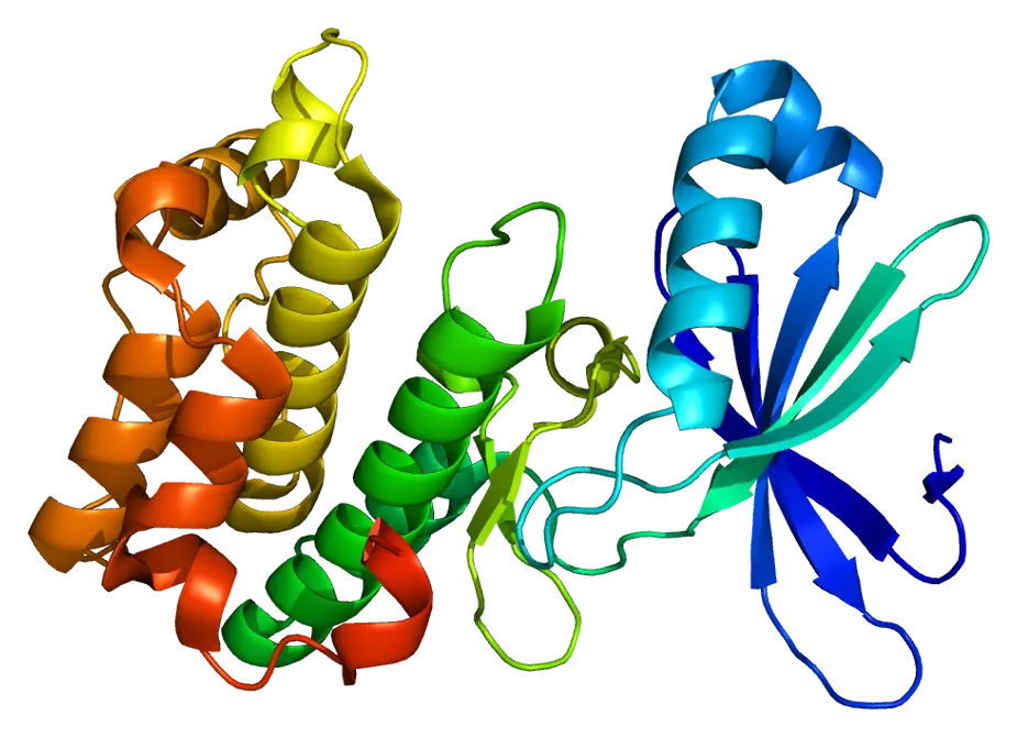 Colorful Protein Molecular Structure