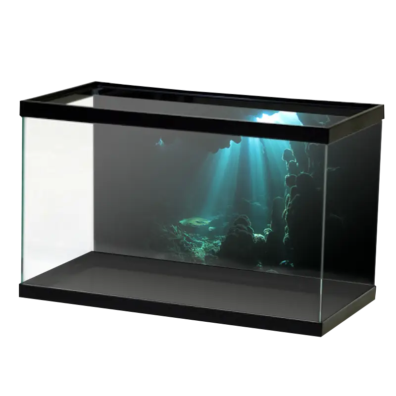 Empty Glass Fish Tank