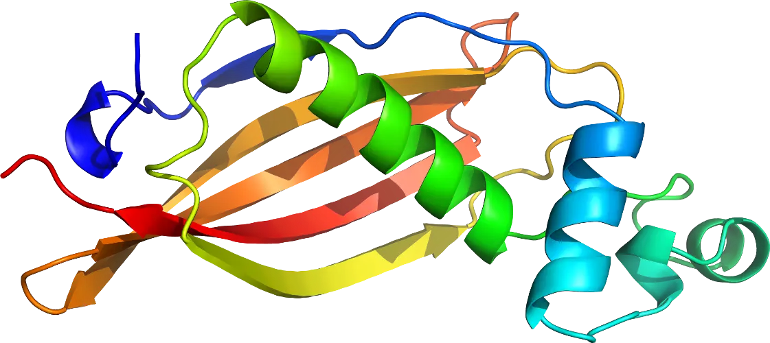 Colorful Protein Molecular Structure Diagram