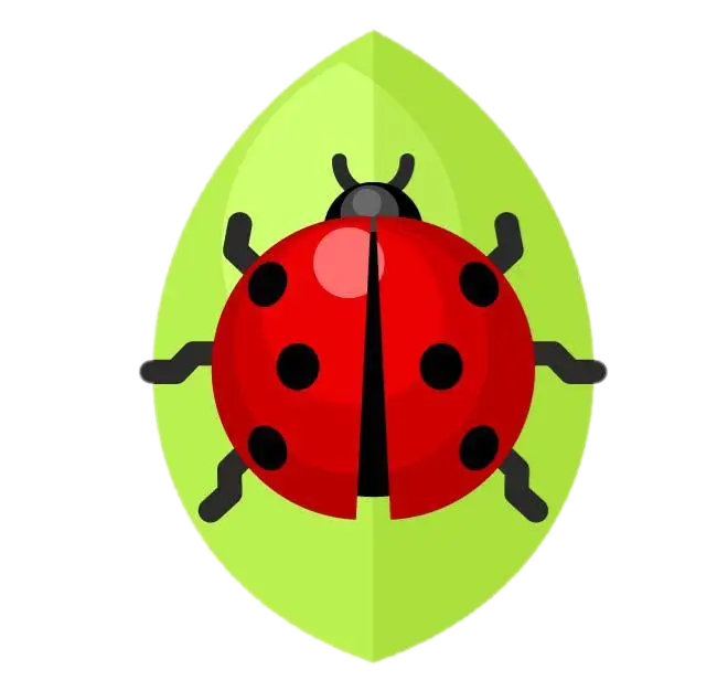 Ladybug on Green Leaf Illustration