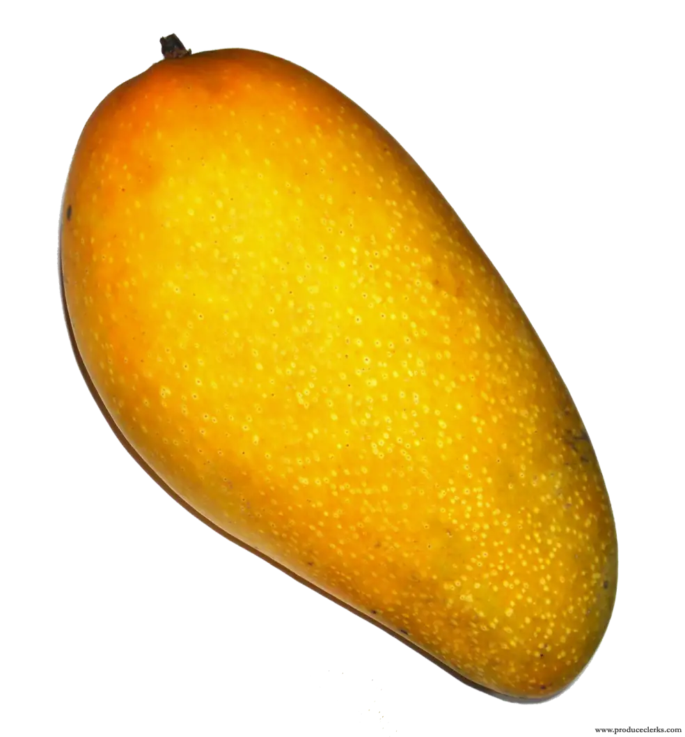 Bright Yellow Mango on Transparent Background