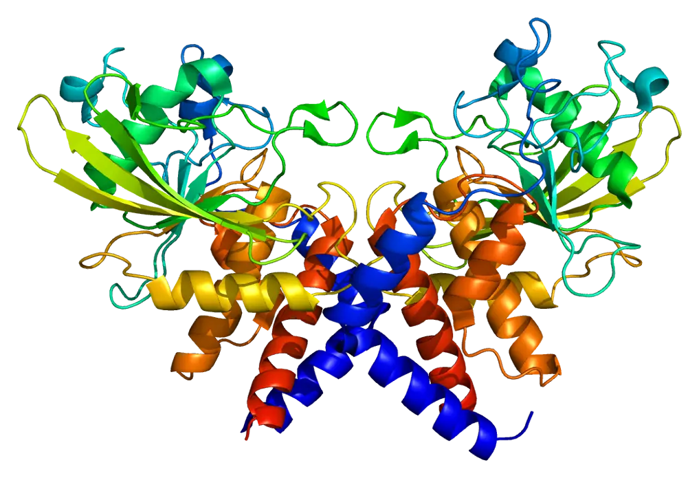 3D Colored Protein Structure for Scientific Illustration