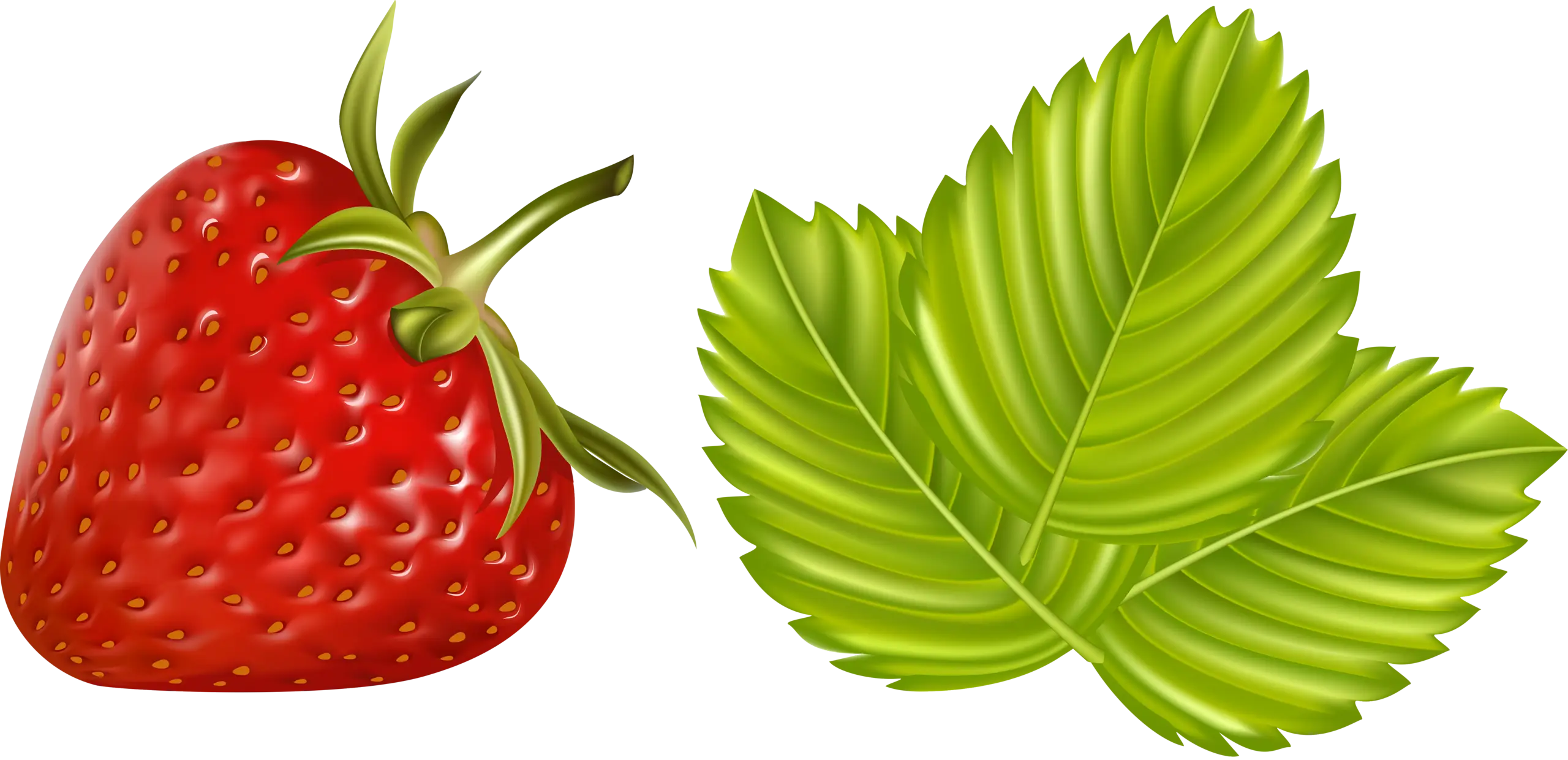 Red Strawberry and Green Leaves Illustration