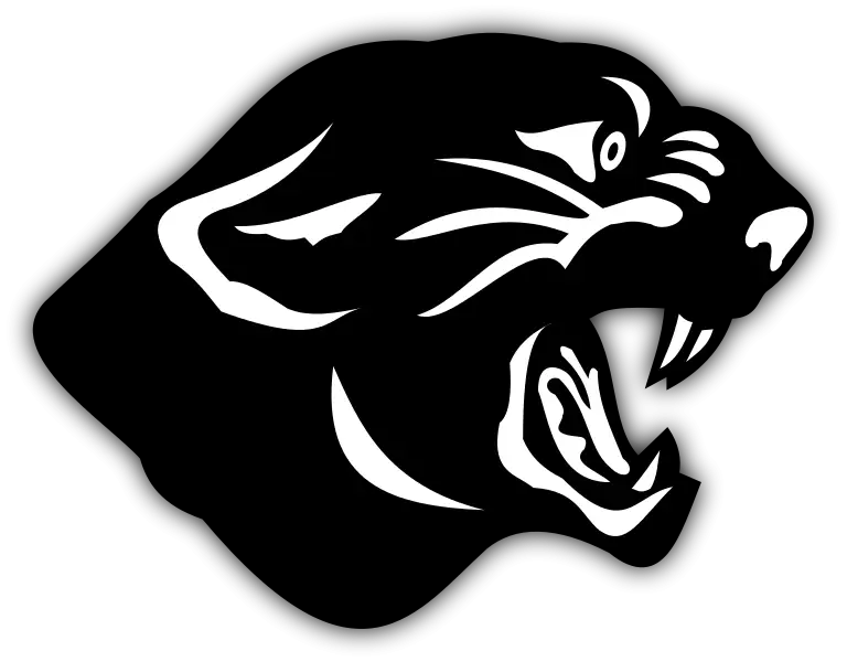 Roaring Black Panther