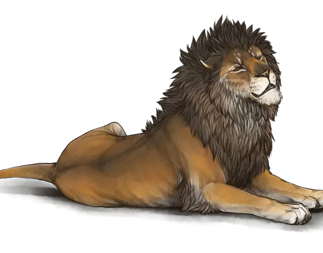 Resting Lion Illustration with Majestic Pose