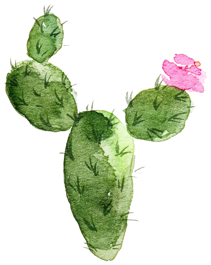 Watercolor Cactus Plant with Pink Flower
