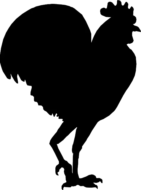 Black Rooster Silhouette Illustration