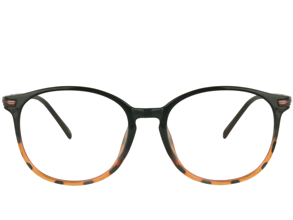 Black and Brown Eyeglasses with Rounded Frames