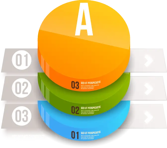 Colorful Infographic Chart