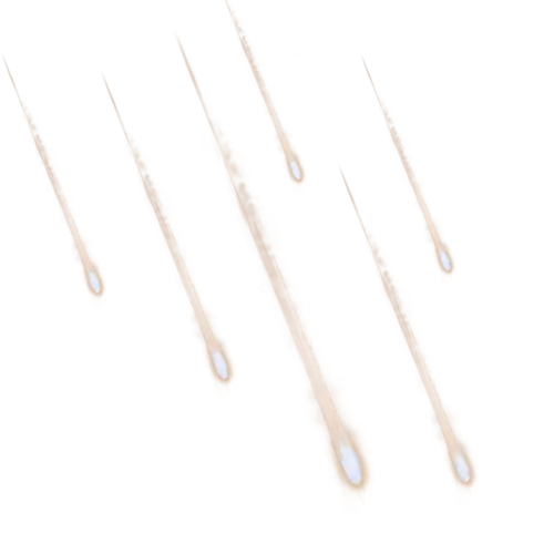 Meteors Falling from the Sky