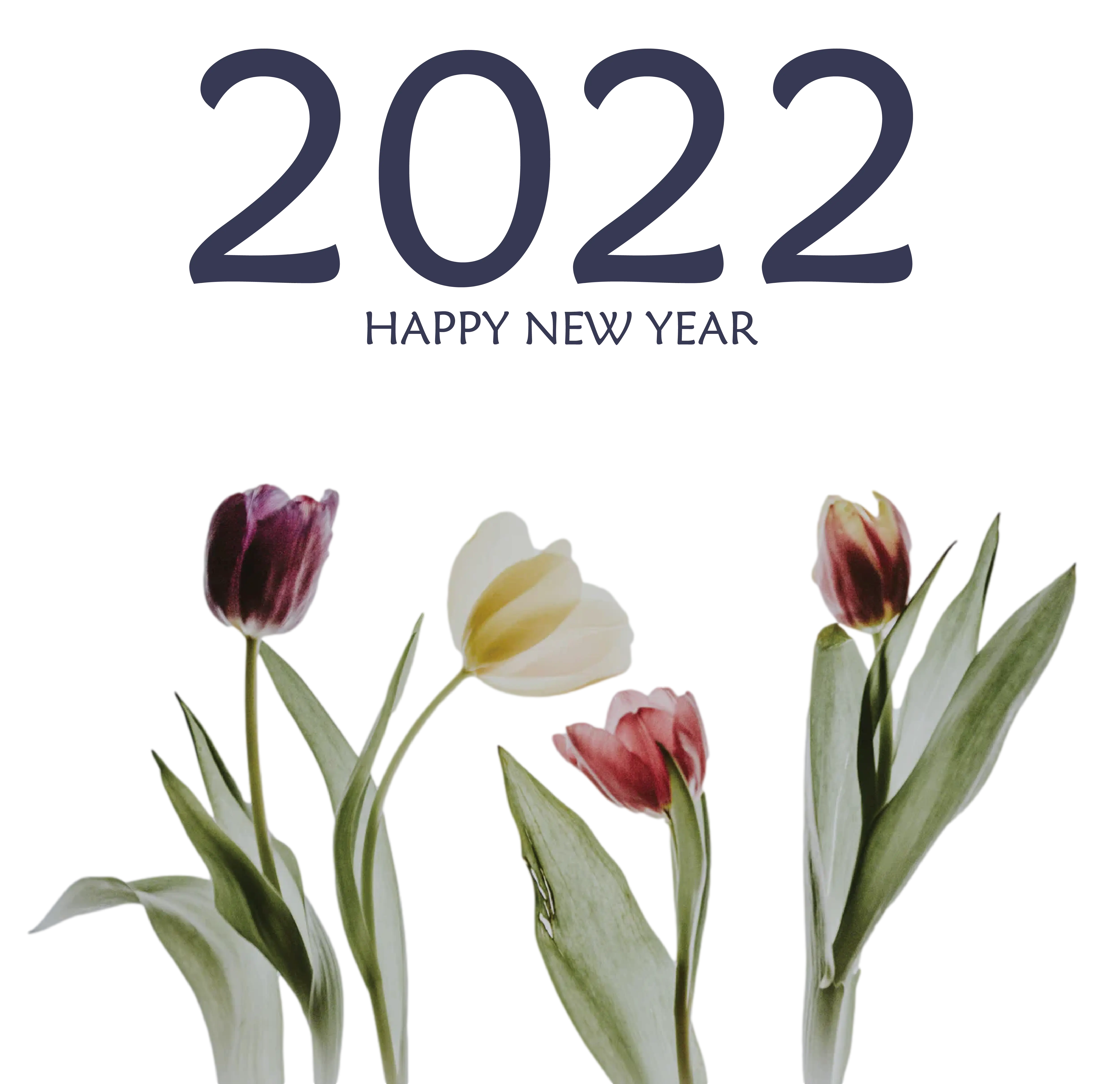 2022 Happy New Year with Tulip Flowers