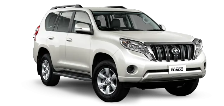 Modern White SUV Car for Urban and Off-Road Travel