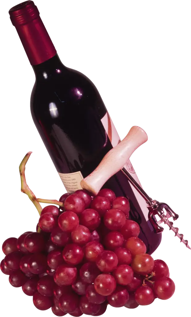 Wine Bottle with Grapes and Corkscrew