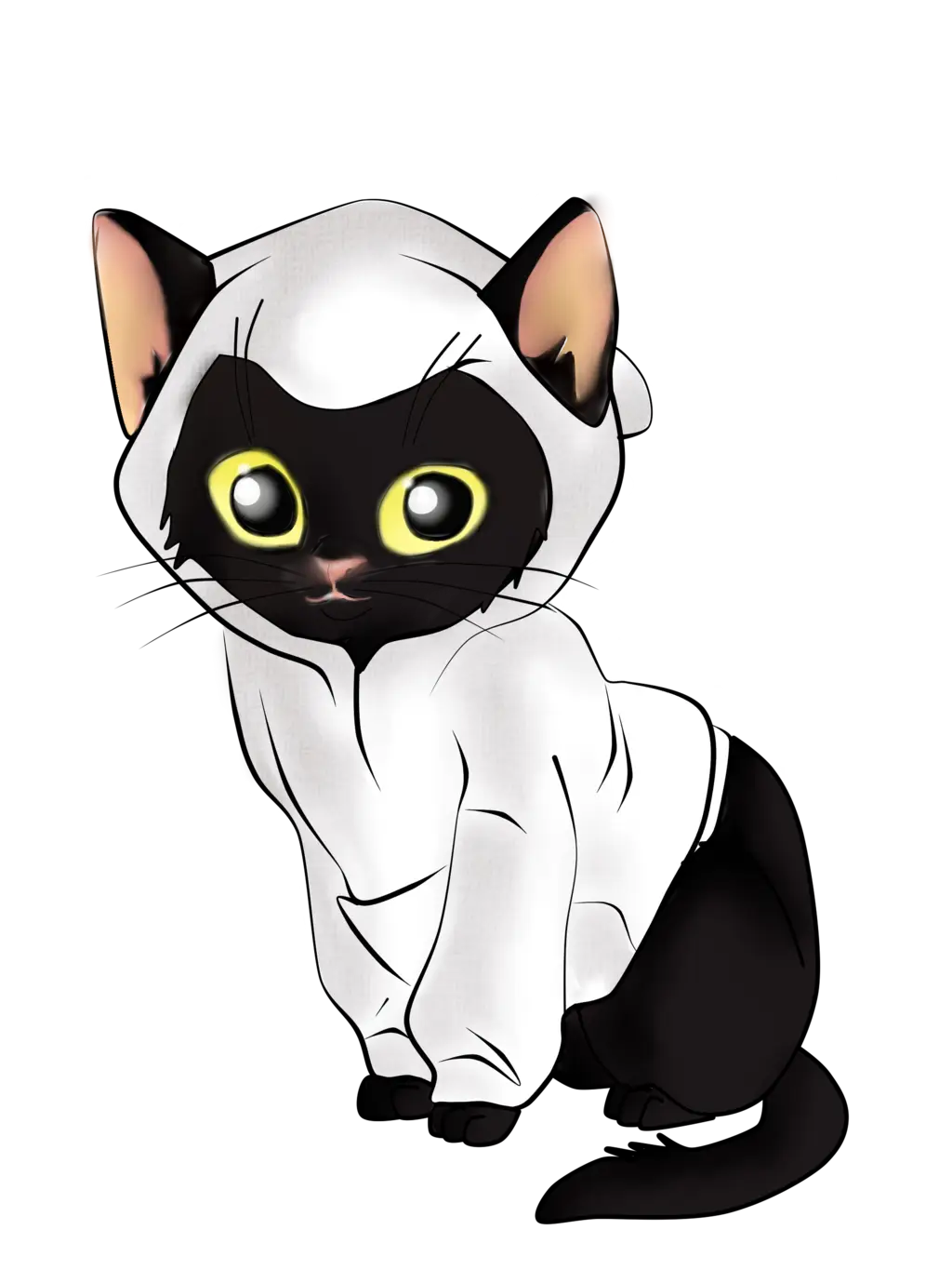 Cute Black Cat in a Hoodie