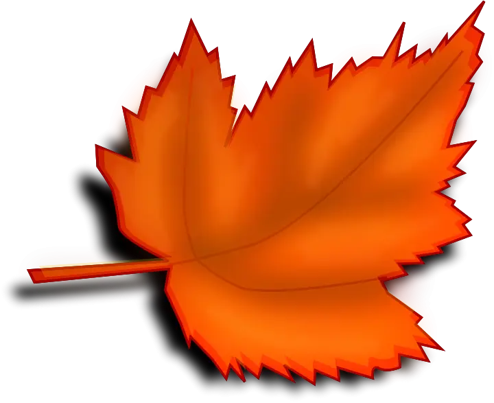 Vivid Orange Leaf Illustration