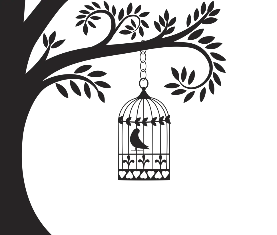 Bird in Cage Hanging from Tree