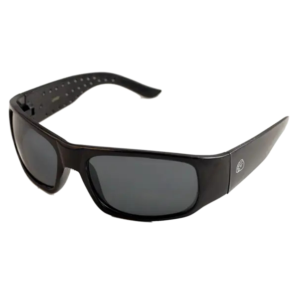 Stylish Black Sunglasses Accessory