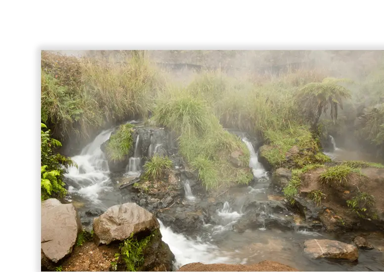Misty Natural Stream in a Serene Forest