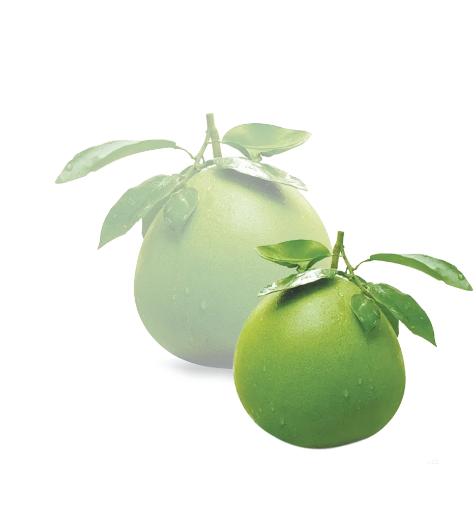 Green Fruits with Leaves
