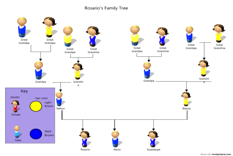 Rosario&#039;s Family Tree Diagram