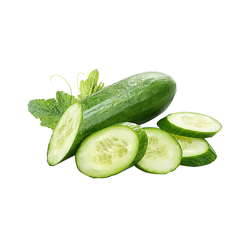 Sliced Cucumber with Fresh Mint Leaves