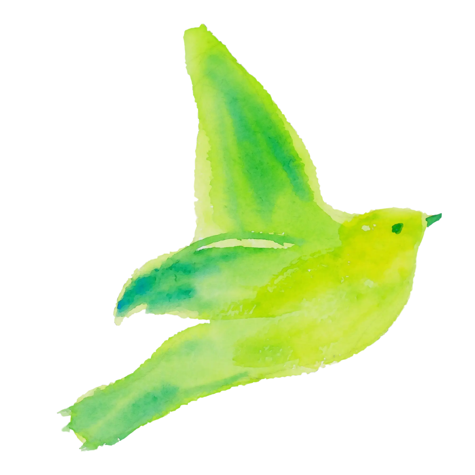Green Bird Watercolor Illustration in Flight