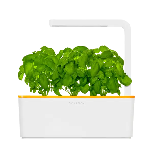 Indoor Plant Box for Kitchen Gardening