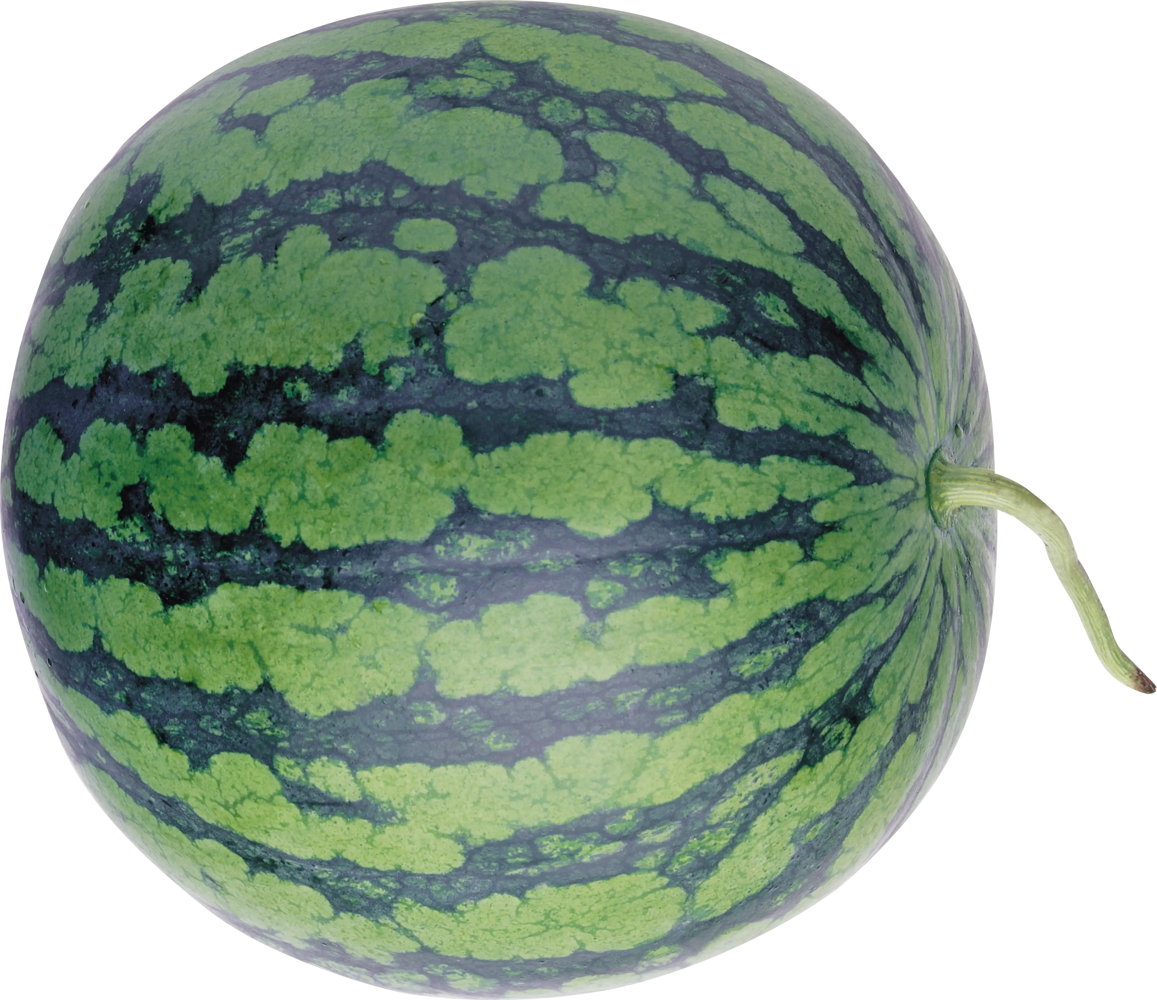 Green Watermelon with a Ripe Skin