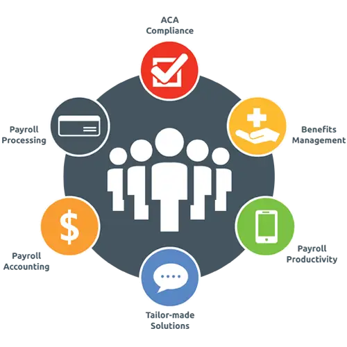 Payroll Management Infographic