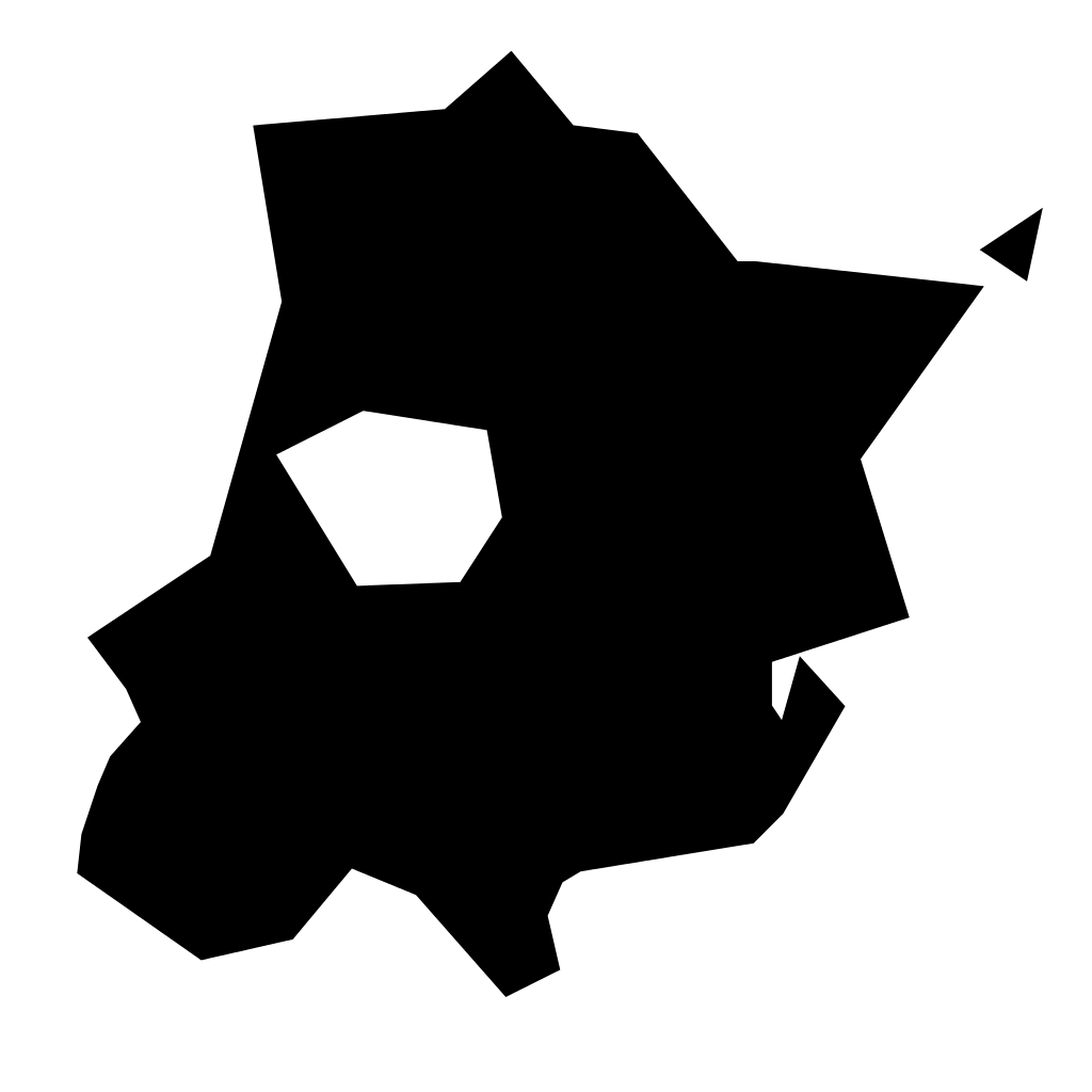 Abstract Black Silhouette with Geometric Outline