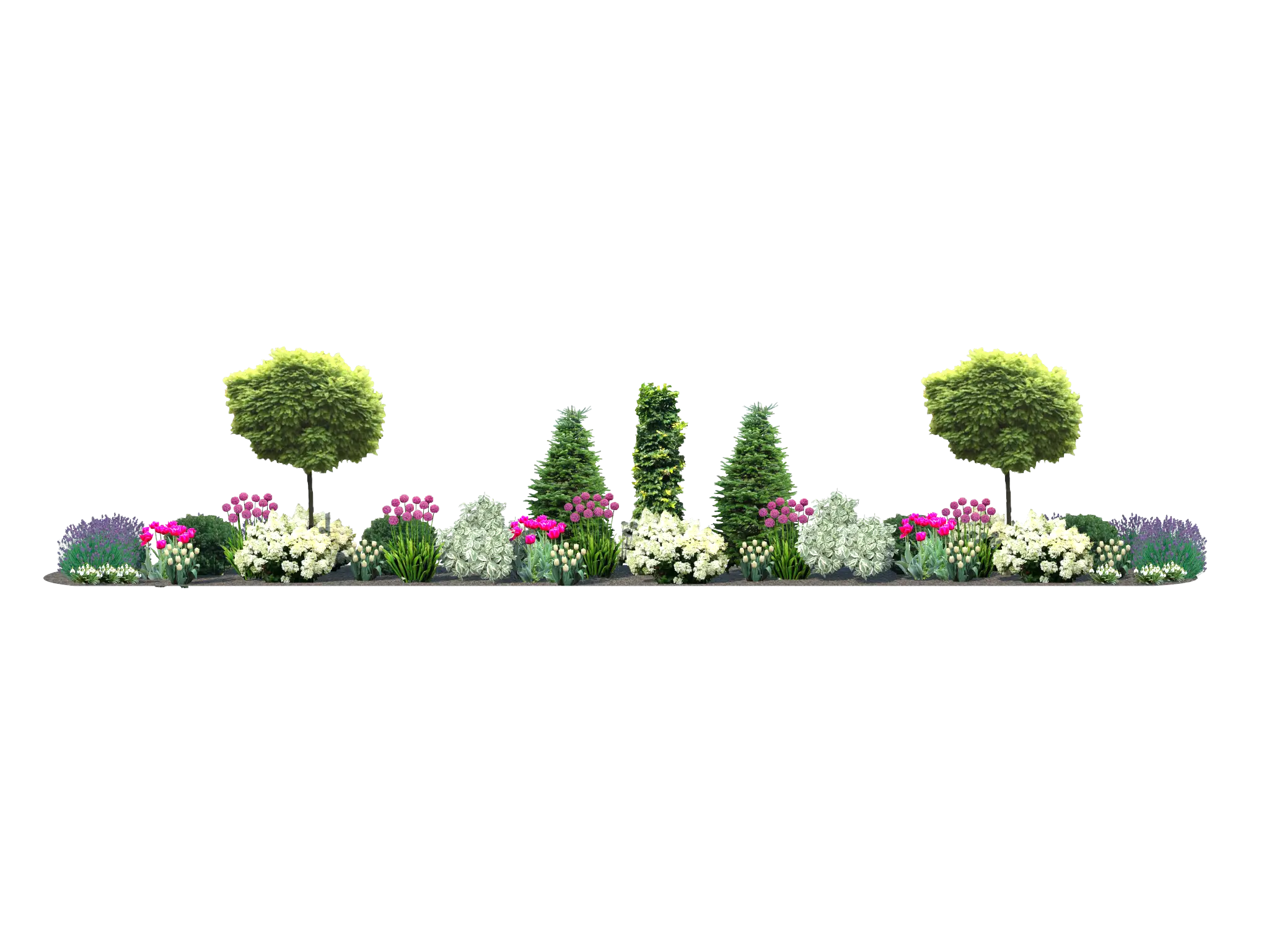 Beautiful Garden Plants and Flowers